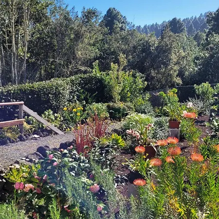 Lantställe Llano De La Cebolla