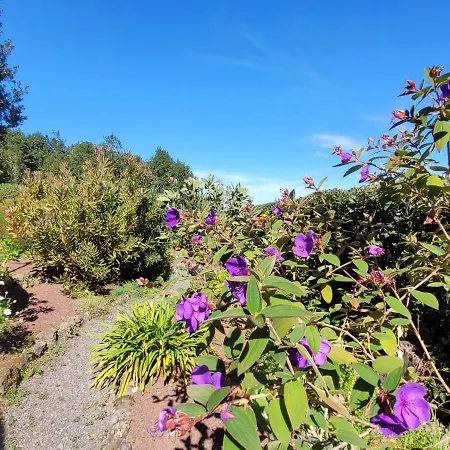 Llano De La Cebolla Lantställe