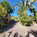 Llano De La Cebolla *