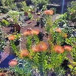 בית כפרי Llano De La Cebolla *