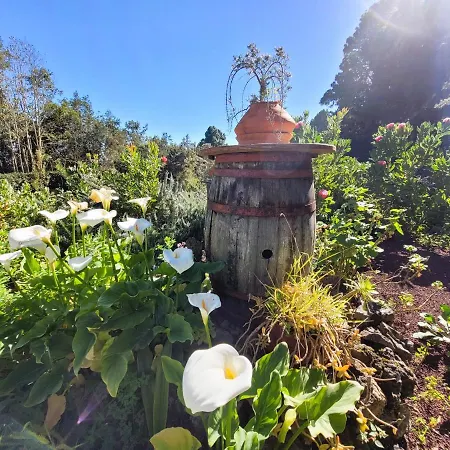 Llano De La Cebolla Landhuis Icod De Los Vinos