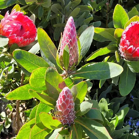 Llano De La Cebolla カントリーハウス *