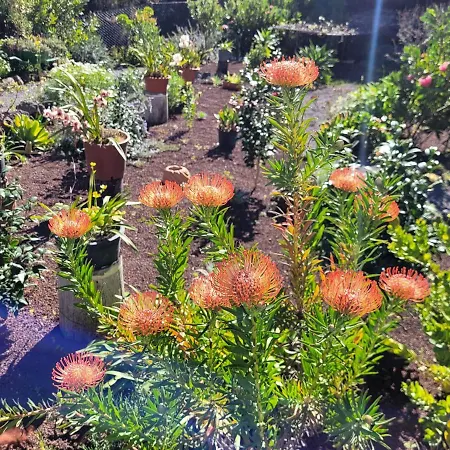 カントリーハウス Llano De La Cebolla *