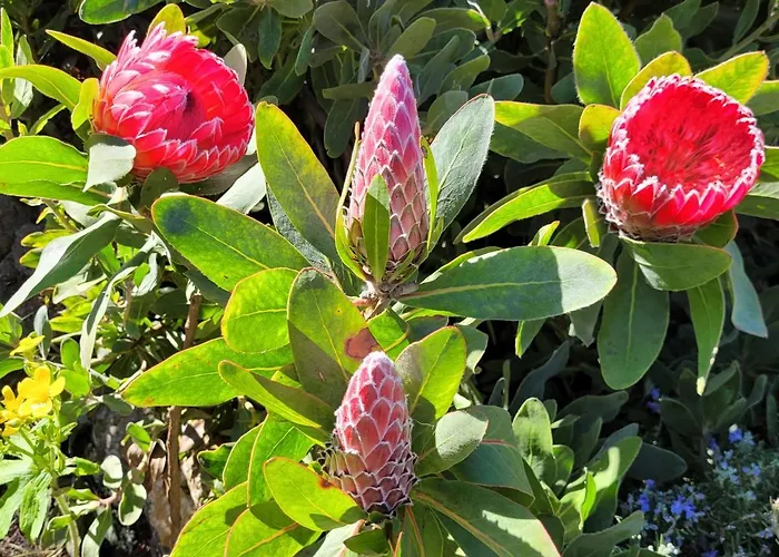 Llano De La Cebolla Hétvégi ház *